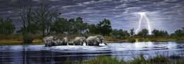 Humboldt Panorama - Herd of Elephants 29508